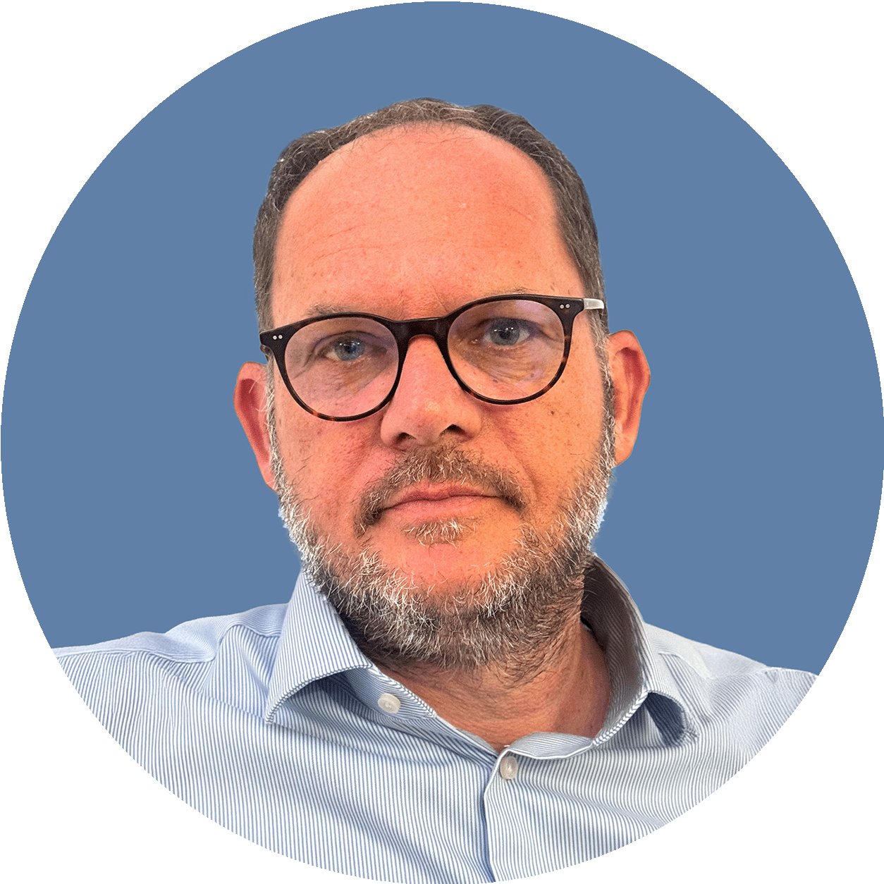 King Cinsult Team Member